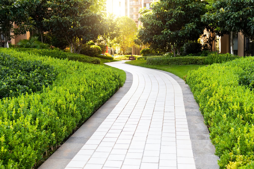 A sunlit path with white tiles, expertly laid by a renowned paving company in Nassau County, curves through a lush garden, flanked by vibrant green shrubs and trees. The scene conveys a serene, inviting atmosphere, with buildings partially visible in the background.